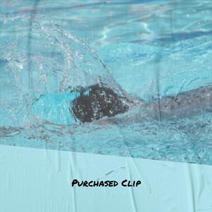 Internet Plantagenets