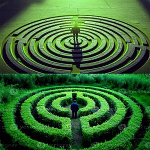 hypnotised