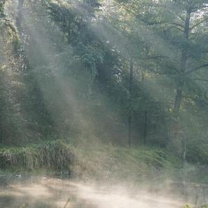 这一生关于你的风景