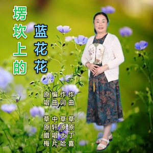 塄坎上的蓝花花