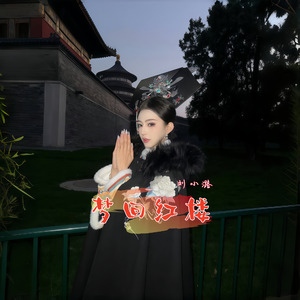 梦回红楼