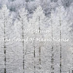 Serenade (Stars Never Cry) - Schubert