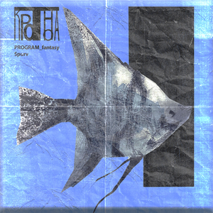 Кривые колени