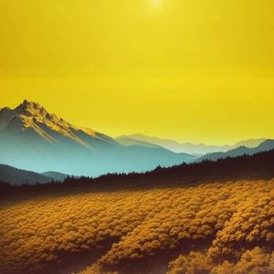 放不下你又不敢打扰你