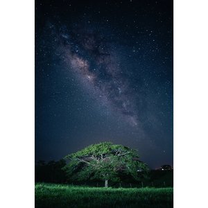 Teri Yaden Part 4 Hindi Song