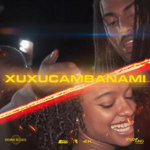 XUXUCAMBANAMI (feat. BradFlash, Dj Peka & KingCoOxPro)