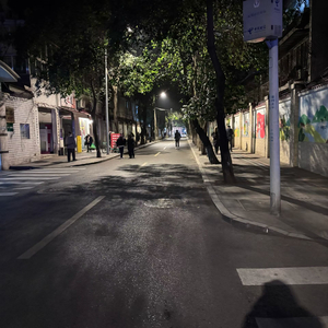 奏响悲鸣之歌