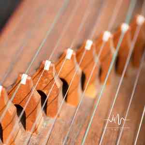 世盛樱桃 (古琴曲)