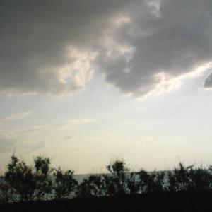 день за днем