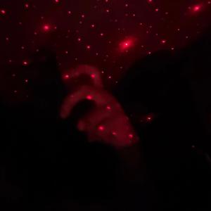 ON THE ROAD (feat. WHO AUZZ)