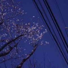 Eason-富士山下的雪路 (夏清乐 remix)