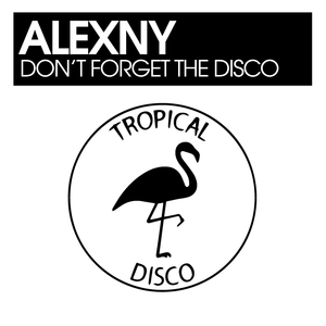 Don't Forget The Disco (Original Mix)