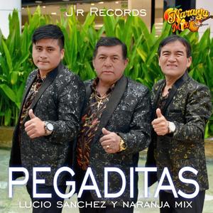 Borrachito Perdido (Celoso)