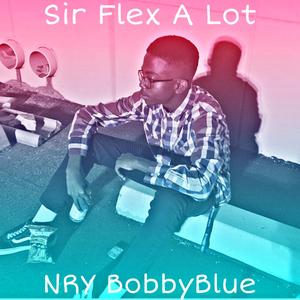 Sir Flex A Lot