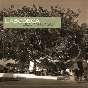 Aplacar (Radio Version)