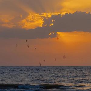 这一生关于你的风景