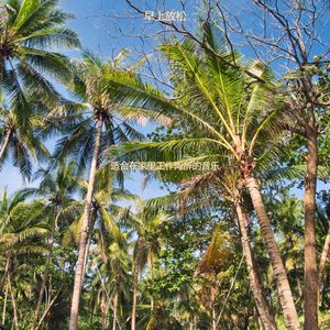 适合在家里工作陶醉的音乐