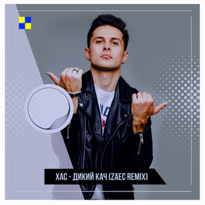 Дикий кач (Zaec Remix)
