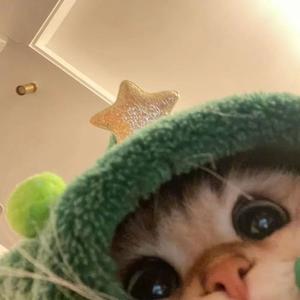 【Jy-孙】程女士定制舞曲vol.1