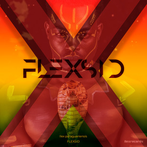 Flexsid