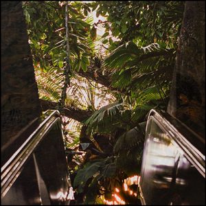 Insects (feat. Filmizuki)