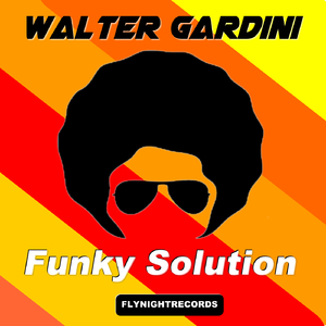 Funky Solution (Original Mix)