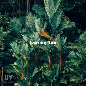 Leaving You