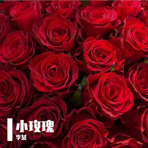 小玫瑰