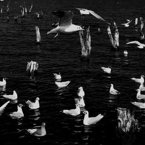 Nick Kech & Vgn - Una Mattina (GUCHUNYI Remix)