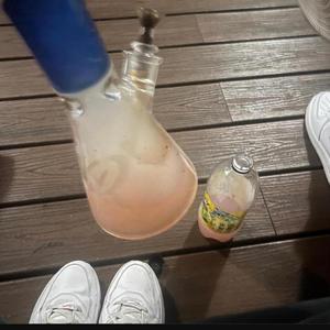 Chicken Little The **** Up (feat. Meep, E76 & The White House Oval Office)