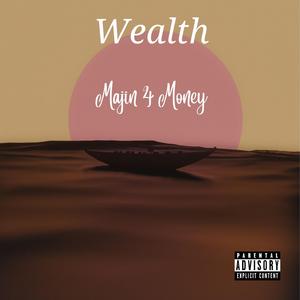 Wealth
