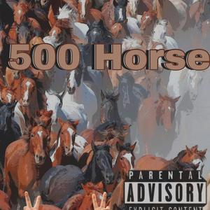 500 Horse