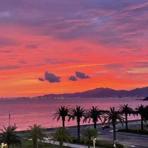 饭圈混子（Prod.姚姚）