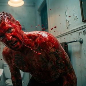 Every Dog Gets Their Day