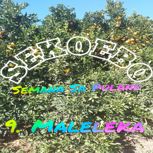 Basotho Ba Moshoeshoe