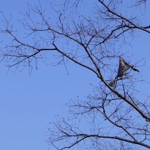 暖阳里