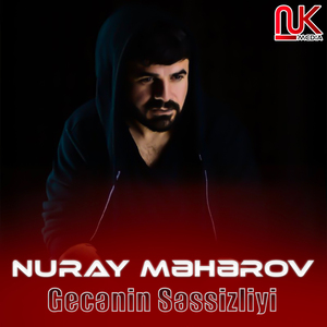 Gecənin Səssizliyi