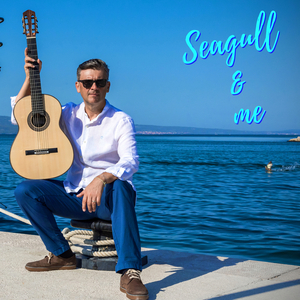 Seagull & Me