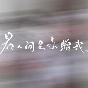 若人间是你赠我