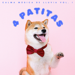 Delicadas Gotas