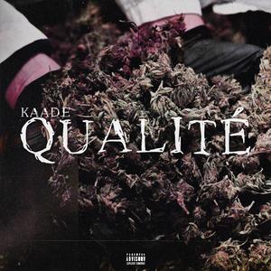 Qualité