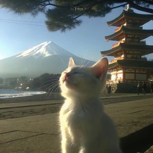 重获自我.
