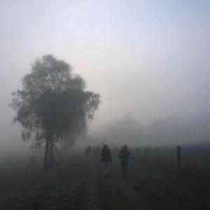 Netherworlds