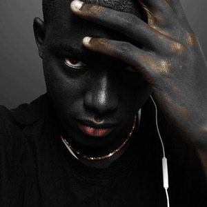 SAY GOODBAY HOODTRAP