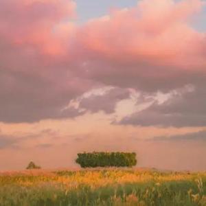 那如烟的温柔（优美旋律）