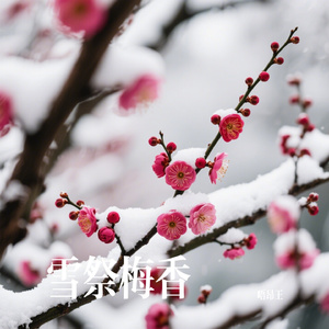雪祭梅香