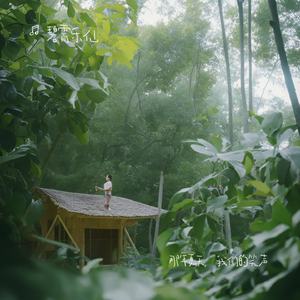 那年夏天，我们的笑声