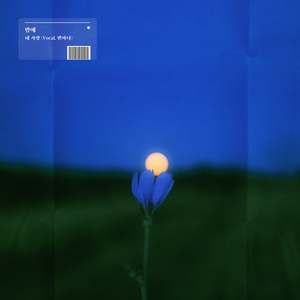 네 사랑 (Vocal. 반하나)