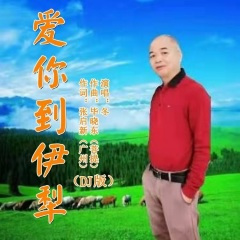 爱你到伊犁(广场舞DJ)