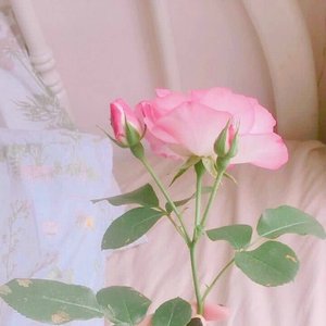 甜度（Prod by BECU BEATZ）